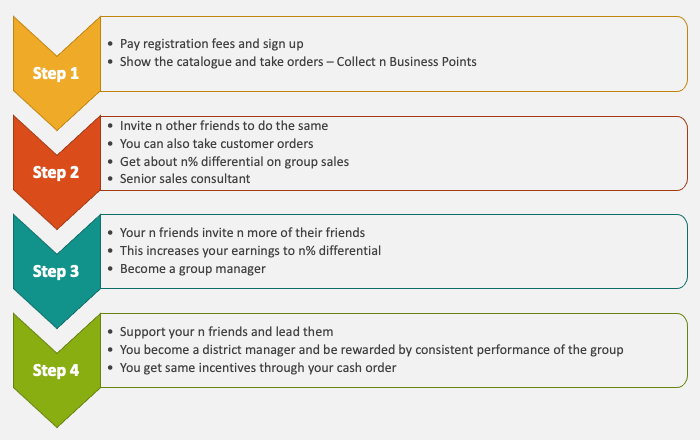 MLM Step Plan Structure